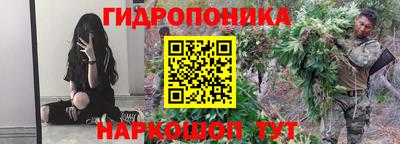 индика Гусь-Хрустальный
