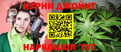 индика Гусь-Хрустальный