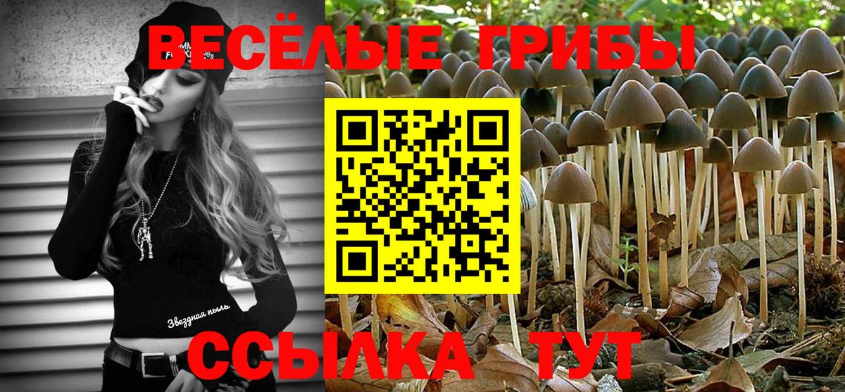 Псилоцибиновые грибы прущие грибы  Вход с VPN  Первоуральск  Галлюциногенные грибы прущие грибы 