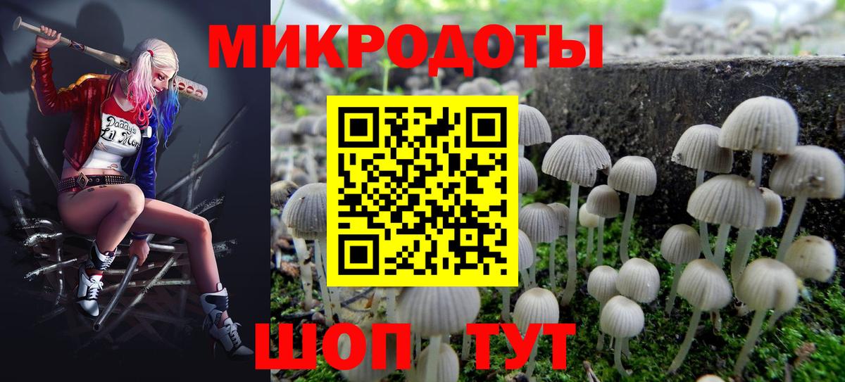 Псилоцибиновые грибы Psilocybe Первоуральск